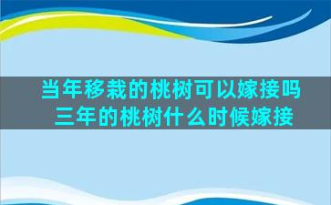 当年移栽的桃树可以嫁接吗 三年的桃树什么时候嫁接